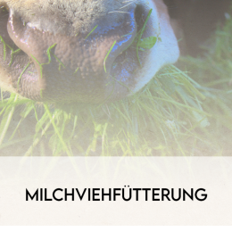 FEED-Hauptbild-Seminar-Milchviehfuetterung-1024x729