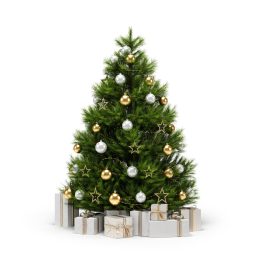 Christmas,Trees,Isolated,On,The,White,Background,3d,Rendering